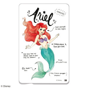 ICJ[hXebJ[ ICJ[h XebJ[ V[  d oX suica pasmo icoca manaca \ vZX