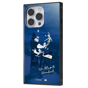 iPhone13 Pro fBYj[ Jo[ P[X ϏՌ Ռɋ ی ɋ n[h \tg NbV X}zP[X Xgbv iPhone13Pro s[^[p