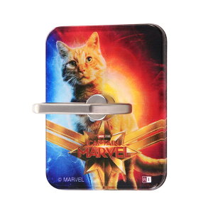 X}zO }[x X}[gtHO AN O[X oJ[O z[hO h~ X}zX^h 킢  Vv  IV