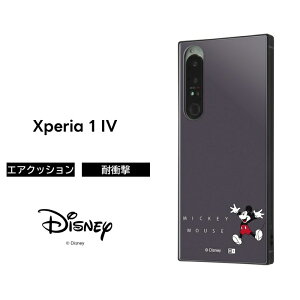 Xperia 1 IV P[X SOG06 SO-51C fBYj[ ϏՌ LN^[ n[hP[X \tgP[X X}zP[X XNGA KAKU ~bL[}EX 킢 