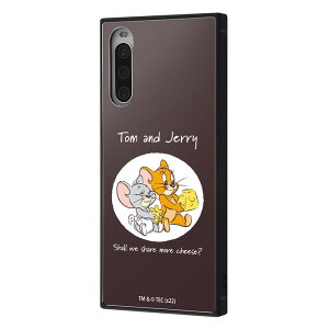 Xperia 10 IV P[X SOG07 SO-52C Jo[ gƃWF[ ϏՌ LN^[ n[hP[X X}zP[X XNGA WF[ ^tB[ `[Y 킢 GNXyA GNXyA10 GNXyA1