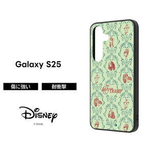 ySi|Cgő10UPzygc񂿂̃t@~[LďCzGalaxy S25 P[X fBYj[ LN^[ MNV[S25 킢 񕨌 fB  ϏՌ \tg n[h X}zP