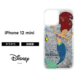 iPhone 12 mini P[X AG LN^[ iPhone12mini ACtH12~j ACtH ϏՌ fBYj[ vZX LL  Ob^[ g}[Ch NA NAP[X  