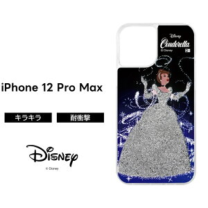 iPhone12 ProMax fBYj[ P[X ϏՌ Ռɋ ی    Ob^[ LL  炫 t 킢  Vf NA LN^[   iPhone 