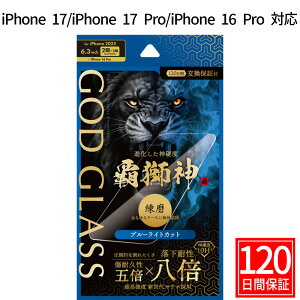 iPhone17 iPhone17Pro iPhone 16 Pro KXtB GOD GLASS e_  u[CgJbg ϐ8{ VKX Tt@CAR[eBO Ϗ5{ [Xdx7 P[XƑQ FȂ