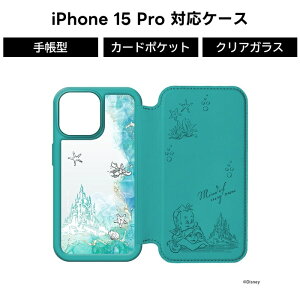 iPhone 15 Pro P[X 蒠^ NA ϏՌ fBYj[ iPhone15Pro NAP[X 蒠^P[X 킢 J[h[ wʃNA AG X}zP[X