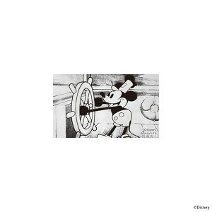 XebJ[ fBYj[ X}zɋ߂ JX^ JX^ 킢 ~bL[tY ~bL[}EX ~bL[ ϐ ό Vv 