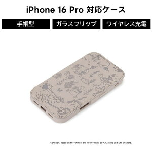 iPhone 16Pro iPhone16Pro 蒠^ P[X fBYj[ v[ ϏՌ NA wʃNA KX KXtbv J[h[ J[h|Pbg CX[d 蒠^P[X ^ Ռz ܂̃v[