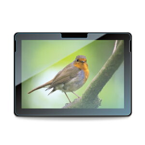 X[p[SALE 10%OFFy420:00~1101:59ztیtB Surface GO tیKX u[CgJbg SurfaceGO T[tFX T[tFCX ^ubgtB یtB ʕیtB 