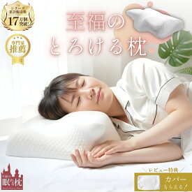 【20%OFF（当社通常価格 3,980円）】枕 肩こり 首こり ストレートネック いびき 昼寝 デスク うつぶせ枕 うつぶせ 抱き枕 安眠枕 安眠グッズ 睡眠 快眠 健康まくら 健康枕 いびき防止 いびき対策 吸汗速乾 低反発 寝返り うつ伏せ 横向き寝 脊椎 極上とろける枕 母の日