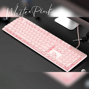 LL[{[h obNCg É 25dB  L[{[h t h ho FLED VR~ߕt ItBX ݑΖ e[N p\R L[{[h USz  ^ y