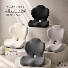 【新色9月下旬入荷】骨盤クッション 骨盤サポートチェア 骨盤矯正 クッション 姿勢サポートクッション もちもち クッション 座椅子 姿勢矯正 クッション シニアケア 産後ケア 腰サポート クッション チェアクッション 骨盤サポート 椅子 姿勢サポート クッション