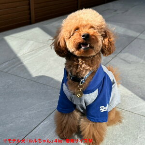 MLBFyhW[XJĕp[J[zXSTCY