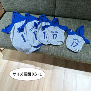 MLBFyhW[XJĕp[J[zLTCY