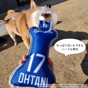 MLBFyhW[XJĕf^^OgCzSTCY