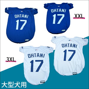 MLBFyhW[XJĕTVc@u[z3XLTCY