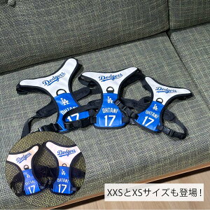 MLBFyhW[XJĕn[lXzMTCY