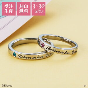 wƖbx fBYj[/yAO 3`30 T[WJXeX316L L[rbNWRjA 󖳗 AM[Ή w DIST350L&DIST350M white clover NX}X LO a zCg