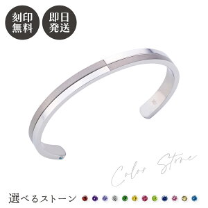 YoO \  aJ[L[rbN AM[t[ T[WJXeX316L L[rbNWRjA NX }bg Vo[ 4SBG202SV NX}X LO a 