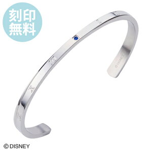 ディズニー バングルの人気商品 通販 価格比較 価格 Com ディズニー バングルの人気商品 通販 価格比較 価格 Com
