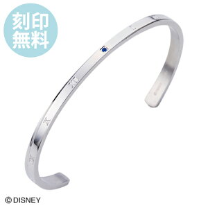 ディズニー バングルの人気商品 通販 価格比較 価格 Com