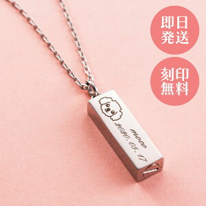 �⍜�y���_���g �������A���y���_���g �y�b�g���{ �茳���{ �X�e�����X ����\ ���n �V���o�[ MEMPD100SV-PET