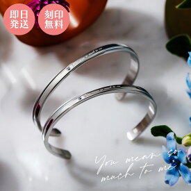 ペアバングル 2本セット 刻印可能 名入れ アレルギーフリー サージカルステンレス316L キュービックジルコニア クロス マット つや消し メッセージ サムシングブルー 4SBG045SV&4SBG046SV クリスマス 記念日 誕生日 ホワイトデー プレゼント