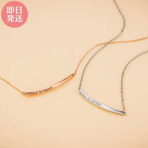 yAlbNX y_g AM[t[ T[WJXeX316L _Ch cCXg bZ[W ݂ sN&Vo[ 4SUP079GO&4SUP079SV white clover Jbv NX}X LO a