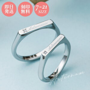 yAO 7`21 Jbv 2Zbg XeX L[rbNWRjA 󖳗  AM[Ή w Aeternum i rEX  4SUR062SV&4SUR062SV white clover zCgN[o[ 