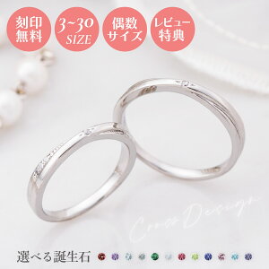 yyV1ʁzyヌr[ŃlbNXv[gIzyAO 3`19/7`30 Jbv 2Zbg XeX 󖳗  AM[Ή white clover w L[rbNWRj