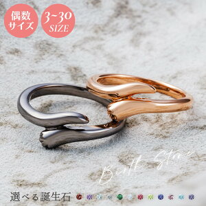 yAO 3`30 Vo[925 a A~bg   L̎  sN&ubN WSR851PG&WSR851BK 2Zbg white clover NX}X LO a zCgf[ v[g w