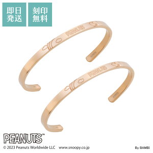 Xk[s[ fB[XoO 2{Zbg PEANUTS AM[Ή T[WJXeX  _ TOX ڂ ςȂ sNsN PNST003GO&PNST003GO white clover zCgN[