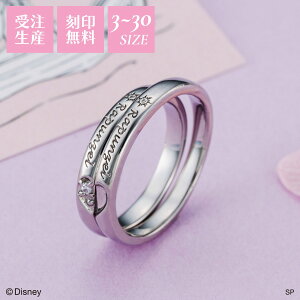 w̏̃vcFx fBYj[ yAO T[WJXeX316L L[rbNWRjA 󖳗  AM[Ή w DIST800L&DIST800M white clover NX}X LO a