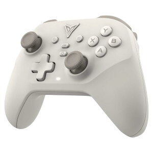 FLYDIGI�i�t���C�f�B�W�j ���C�����X�ڑ��R���g���[���[ �uDUNE FOX�i�f���[���t�H�b�N�X�j�vNintendo Switch? / Windows PC �y���{���K�z