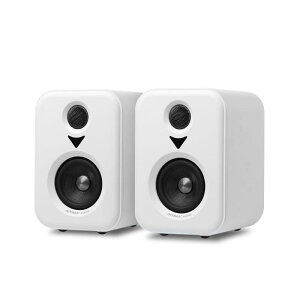 AIYIMA S400 �y�X�V���f�� �z100W�u�b�N�V�F���t�A�N�e�B�u�X�s�[�J�[ �f���A�����[�h3�C���`Bluetooth HiFi�z�[���T�u�E�[�t�@�[���y�V�X�e��TV�R���s���[�^�p (�z���C�g)