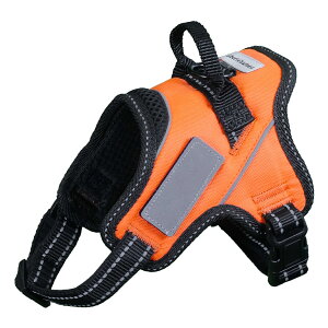 yX[p[Z[10%OFFzyhbOg[i[EIzLiberte harness  n[lX AɗD l[v[g hbOn[lX