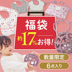 【数量限定福袋】おトクなハッピーバック シリコンボール 福袋セット 6点 出産祝い ベビーギフト