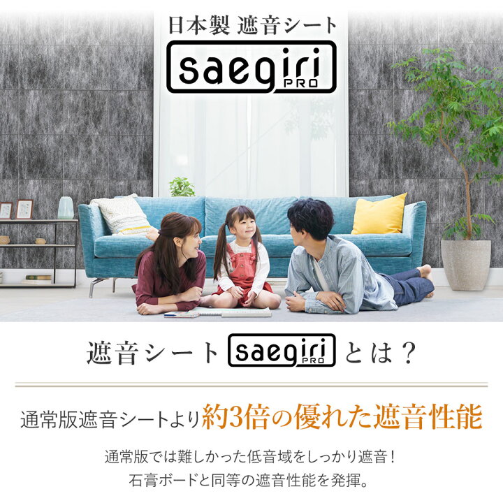 楽天市場】PRO版【正規品】防音ファストラボ公式 (音の遮断効果3倍