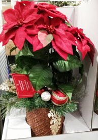 楽天市場 クリスマスツリー コストコの通販
