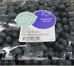 あす楽★5の倍数日は楽天カードエントリーで5倍/あす楽★即納★【COSTCO】コストコ通販 ブルーベリー510g