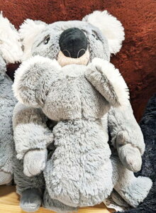 5̔{͊yVJ[hGg[5{/yIKEAzCPAySOTASz\tggC2Zbg, RA