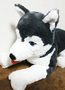 5̔{͊yVJ[hGg[5{/yIKEAzCPAʔ́yLIVLIGz[O@\tggC Ck(VxAnXL[j57cm