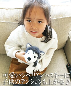 5̔{͊yVJ[hGg[5{yIKEAzCPAʔ́yLIVLIGz[O@\tggC Ck(VxAnXL[j26cm