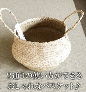y5̔{͊yVJ[hGg[5{yIKEAzCPAʔ́yFLADISzoXPbg@a25cm