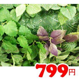 楽天市場 Ikea 人工観葉植物の通販