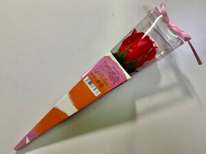 \[vt[ MIȐԂo Mtgp v[gɓY pbP[W