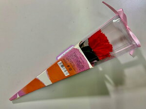 Mtg \[vt[ J[l[V Mtgp v[gɓY pbP[W