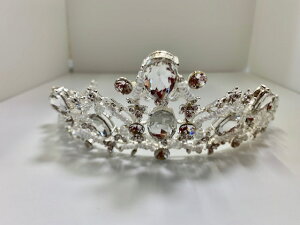  EFfBOeBA CXg[r[Yt _̋P hfUCŉ؂₩