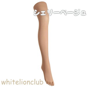 AcM AXeB[O w 5{w 80fj[ ^Cc 3Zbg M-L/L-LL | ^Cc L M ۉ H~ H ~ fB[X AP1580 ATSUGI ASTIGU