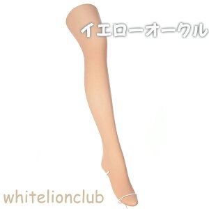 AcM AXeB[O g Sn悢ʂ 40fj[^Cc 3Zbg S-M/M-L/L-LL | ^Cc k[hgD L M ۉ H~ H ~ fB[X AP9040 ATSUGI ASTIGU